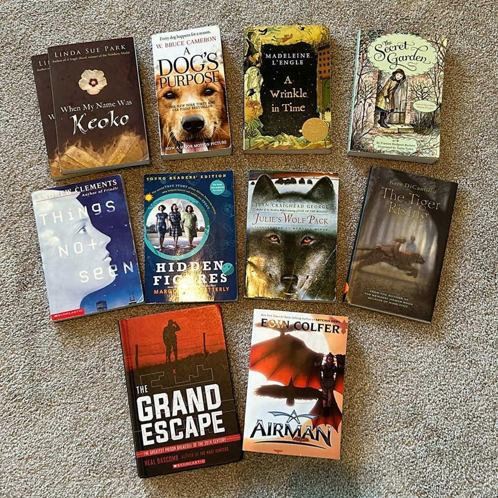 Lot of Eleven Youth Books